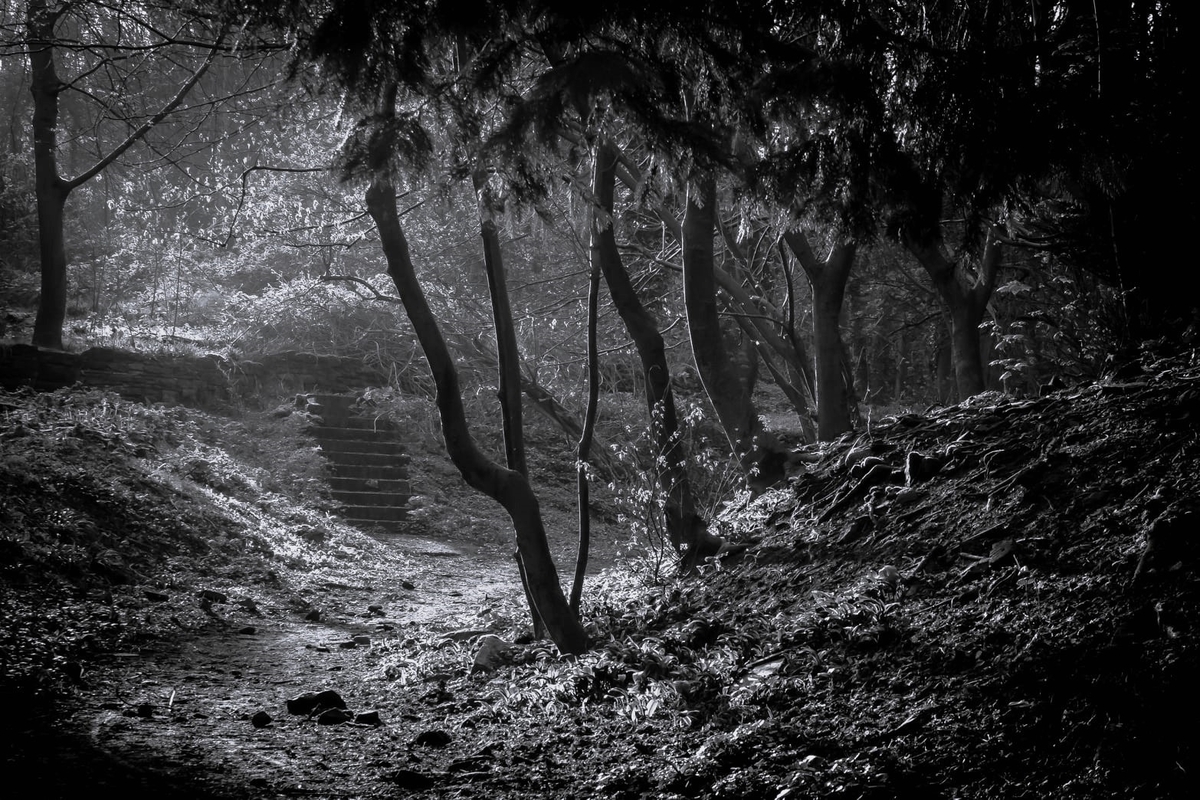 Scotch Quarry - Jay Patilaries